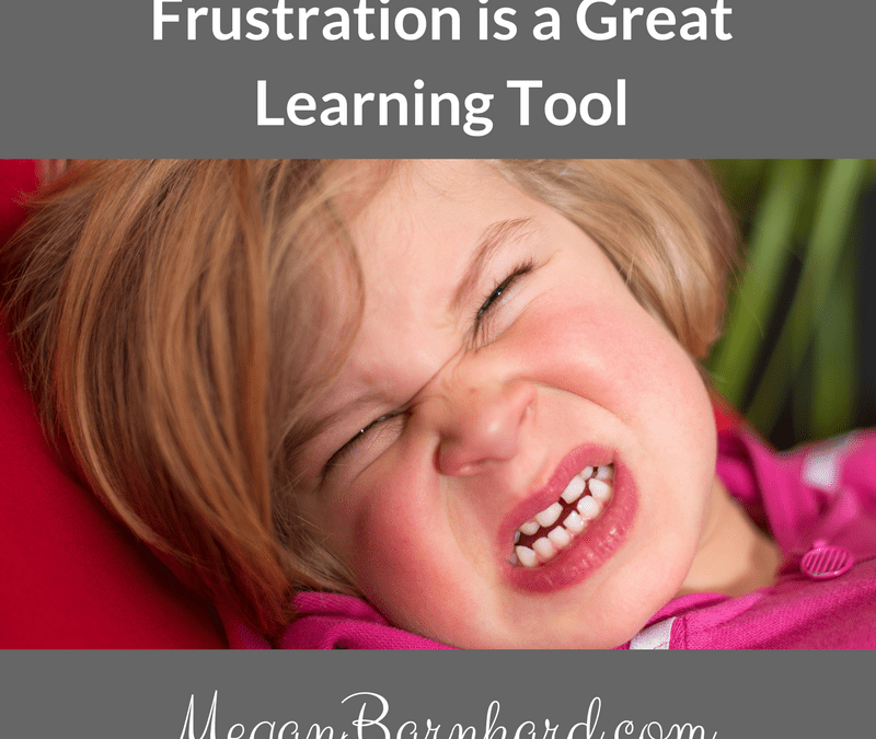 Frustration is a Great Learning Tool